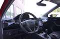 SEAT Ibiza 1.5 TSI 150PK FR Business Intense | Winterpakket | Rood - thumbnail 6