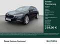 Skoda Octavia Combi 1.4 iV STYLE ACC LM18 NAVICOLUMBUS Schwarz - thumbnail 1