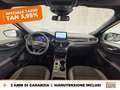 Ford Kuga 2.5 phev st-line x 2wd 225cv cvt Grau - thumbnail 10