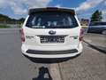 Subaru Forester Exclusive Blanc - thumbnail 5