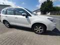 Subaru Forester Exclusive Blanc - thumbnail 8