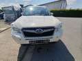 Subaru Forester Exclusive Blanc - thumbnail 1