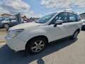 Subaru Forester Exclusive Blanc - thumbnail 2