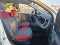 Fiat Panda 1.2 Pop Blanco - thumbnail 20