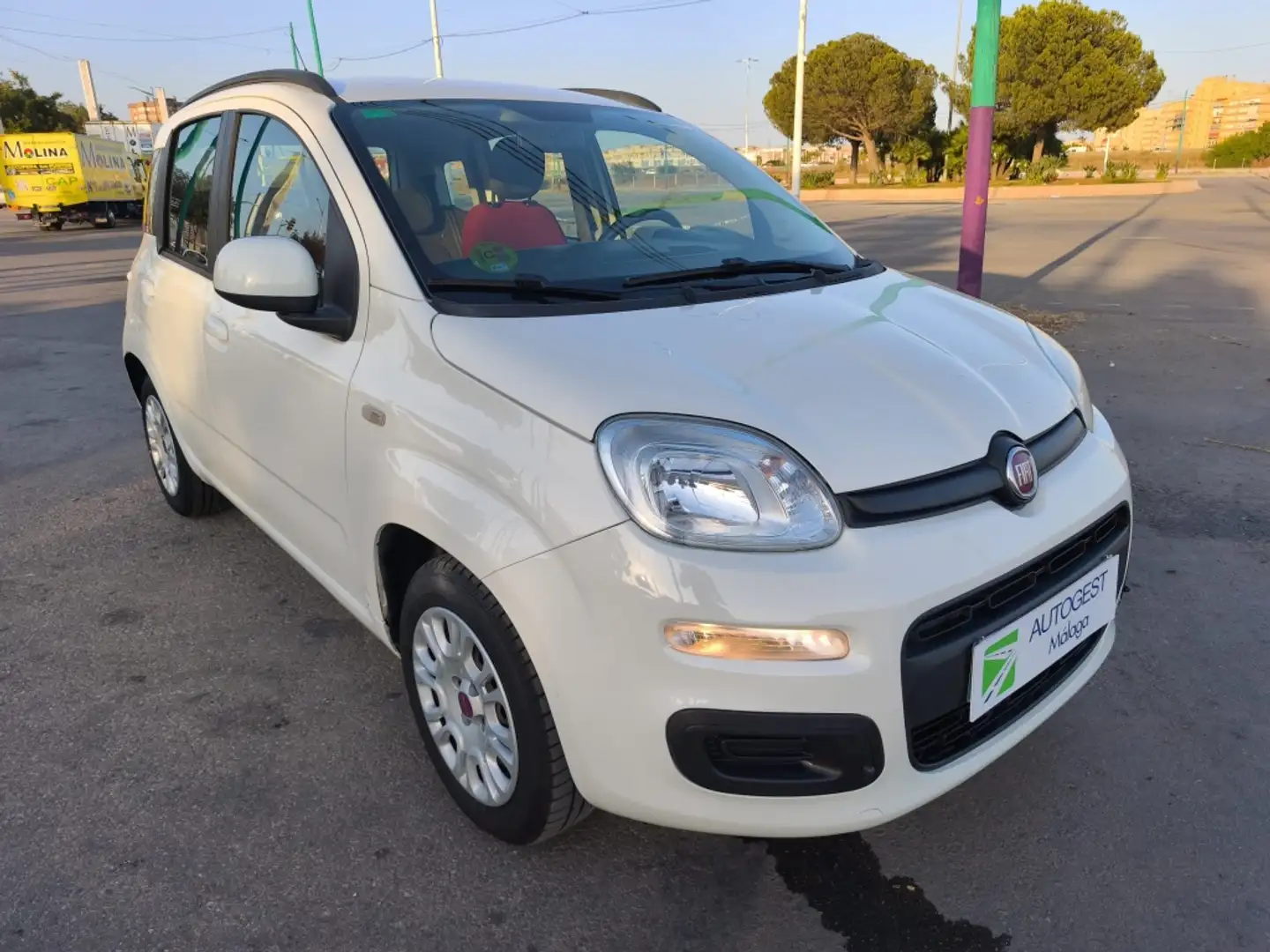 Fiat Panda 1.2 Pop Blanco - 2