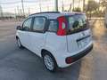 Fiat Panda 1.2 Pop Blanco - thumbnail 4