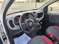 Fiat Panda 1.2 Pop Blanco - thumbnail 19