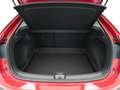Volkswagen Taigo 1.0 TSI 110pk DSG Life Navi via App Camera Acc Cli Rood - thumbnail 10