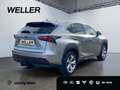 Lexus NX 300h E-FOUR Luxury Line *LED*AHK*360*HUD*Pano* Silber - thumbnail 17