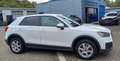 Audi Q2 Q2 30 TFSI-Klima-Navi-Alu-Apple-1.Hd-Scheckheft Weiß - thumbnail 5