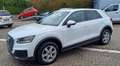 Audi Q2 Q2 30 TFSI-Klima-Navi-Alu-Apple-1.Hd-Scheckheft Weiß - thumbnail 1