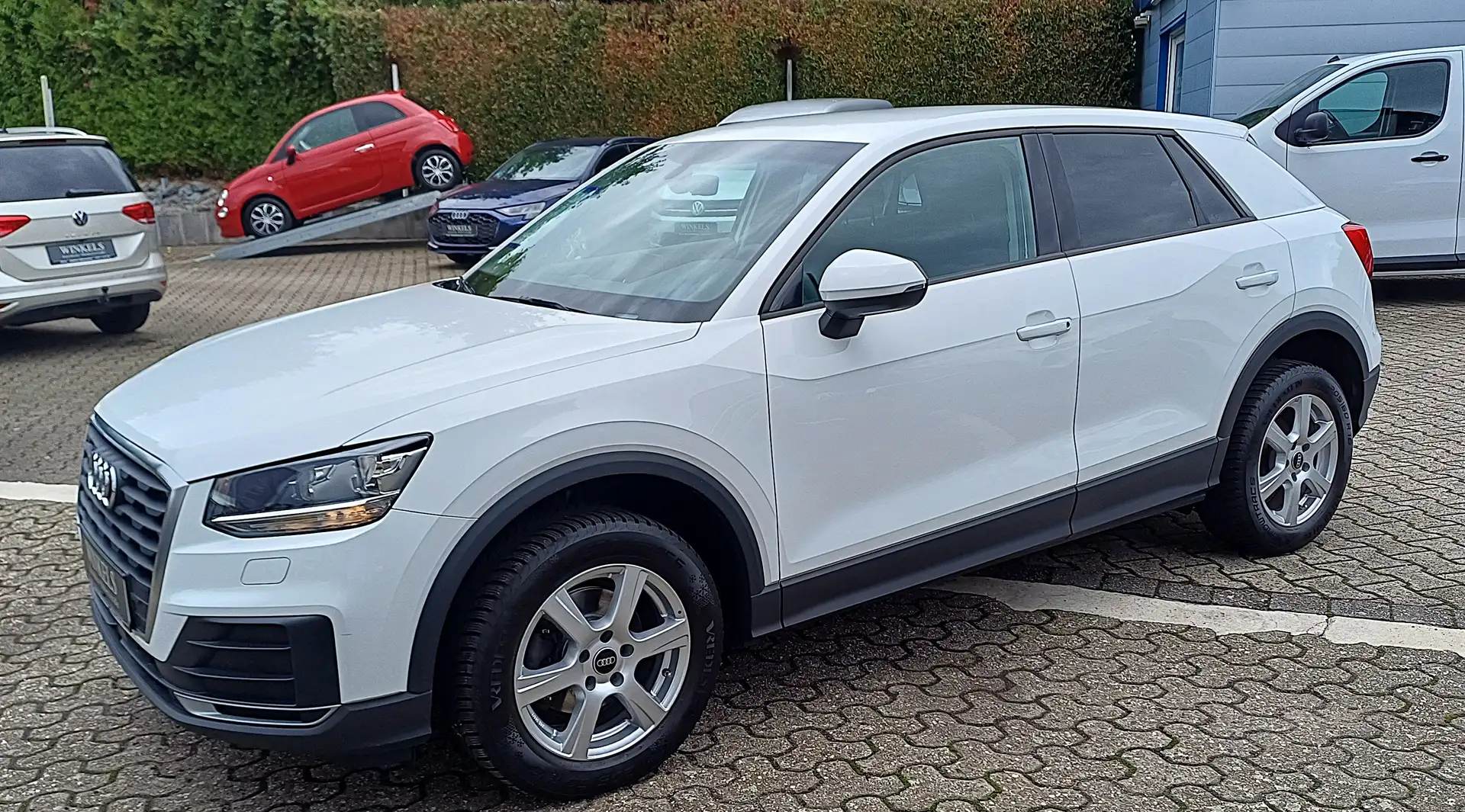 Audi Q2 Q2 30 TFSI-Klima-Navi-Alu-Apple-1.Hd-Scheckheft Weiß - 1