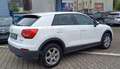Audi Q2 Q2 30 TFSI-Klima-Navi-Alu-Apple-1.Hd-Scheckheft Weiß - thumbnail 6