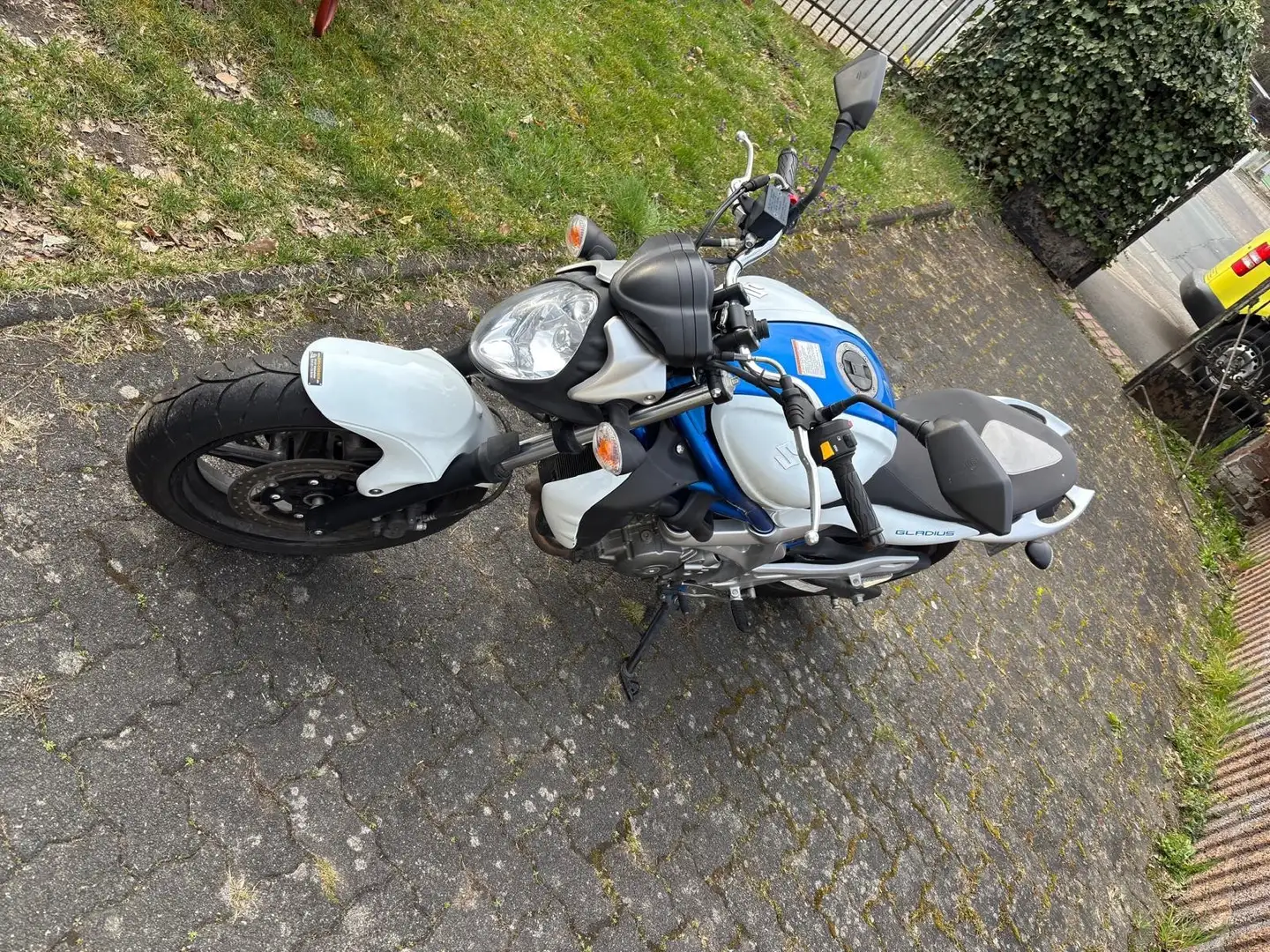 Suzuki Gladius 650 - 2