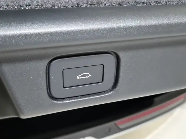 Land Rover Range Rover view 15
