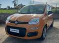 Fiat Panda Panda III 20211.0 firefly hybrid s Arancione - thumbnail 5