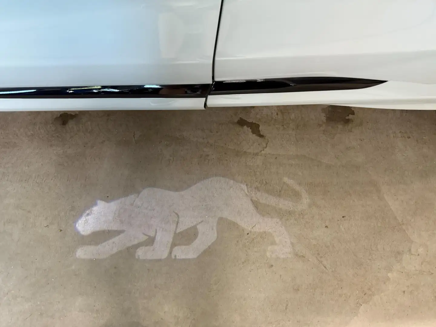 Ford Puma 1.0 Eco 155pk AUT. Hybrid ST-Line X Navi, 360 grad Grijs - 2