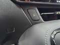 Lexus NX 300h 450h+ F Sport 4WD Azul - thumbnail 29