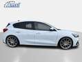 Ford Focus ST 2.3 EcoBoost Performance *PANO*RKAM*SHZ Weiß - thumbnail 3