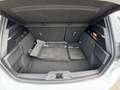 Ford Focus ST 2.3 EcoBoost Performance *PANO*RKAM*SHZ Weiß - thumbnail 21