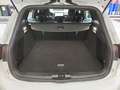Ford Focus Turnier 1,0 EcoBoost Hybrid ST-Line Weiß - thumbnail 5