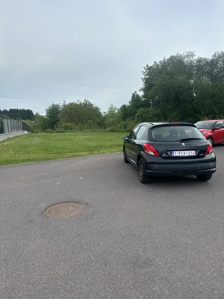 Peugeot 207 1.4e 75ch ExÃ©cutive