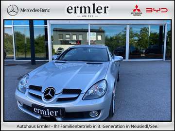 Roadster Sportmotor Sportpaket Klima