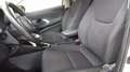 Toyota Yaris Yaris 1.5 Hybrid 5 porte Active Bianco - thumbnail 13