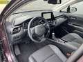 Toyota C-HR 1.8 Hybrid Dynamic Burdeos - thumbnail 6