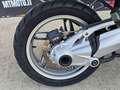 BMW R 1200 GS Export Video 360 Rosso - thumbnail 6