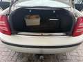 Skoda Superb Superb 2.0Classic - thumbnail 6