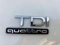 Audi Q5 Q5 2.0 tdi quattro 190cv s-tronic IVA ESPOSTA Grigio - thumbnail 11