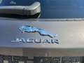 Jaguar F-Pace F-Pace 25d AWD Portfolio Aut. Portfolio Grau - thumbnail 11