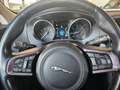 Jaguar F-Pace F-Pace 25d AWD Portfolio Aut. Portfolio Grau - thumbnail 20