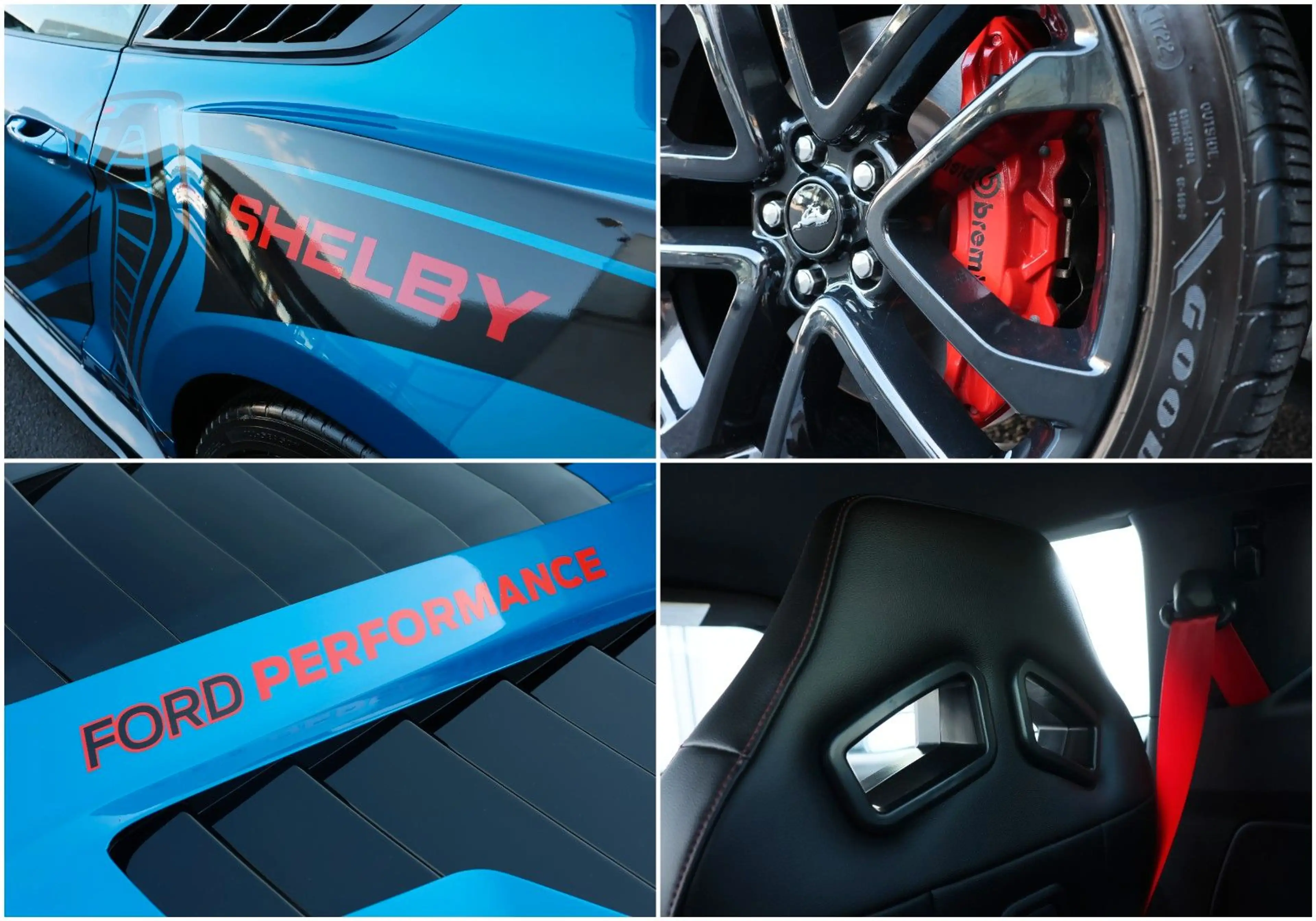 Ford Mustang 5.0 GT/ACC/RECARO/BREMBO/TOTW/KAMERA/R20 — photo 13