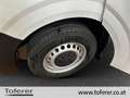 Volkswagen T7 Transporter VW Transporter T7 Kastenwagen TDI Weiß - thumbnail 14