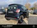 smart forTwo EQ*EXCLUSIVE*22kW*ALLW-REIFEN*WINTER-PAKET*PANO* Blau - thumbnail 6