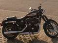 Harley-Davidson Sportster XL 883 Schwarz - thumbnail 5