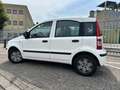 Fiat Panda 1.2 Active - thumbnail 2