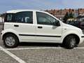 Fiat Panda 1.2 Active - thumbnail 3