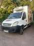 Iveco Daily CHASSIS CAB 35C12 EMP 3000 - thumbnail 1
