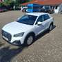 Audi Q2 30 TDI LED Euro-6d Weiß - thumbnail 20