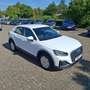 Audi Q2 30 TDI LED Euro-6d Weiß - thumbnail 18