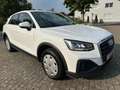 Audi Q2 30 TDI LED Euro-6d Weiß - thumbnail 1