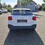 Audi Q2 30 TDI LED Euro-6d Weiß - thumbnail 14
