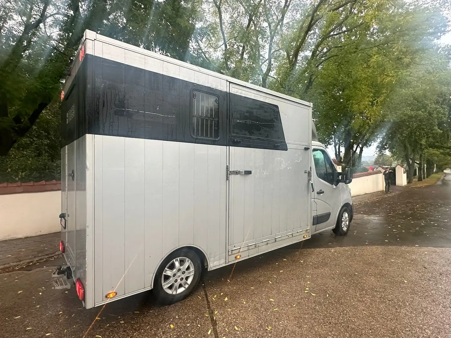 Renault Master 1-2 Pferde Automatik Hengsttrennung Silber - 2