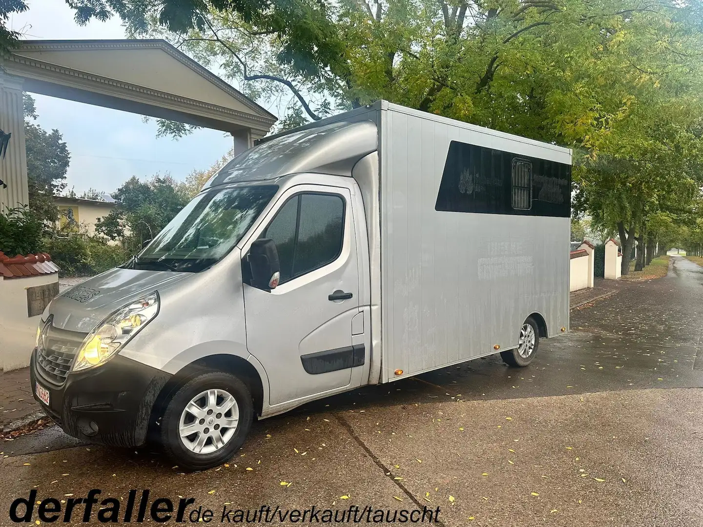 Renault Master 1-2 Pferde Automatik Hengsttrennung Silber - 1