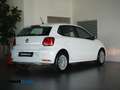 Volkswagen Polo 5p 1.0 mpi Trendline 60cv Bianco - thumbnail 7