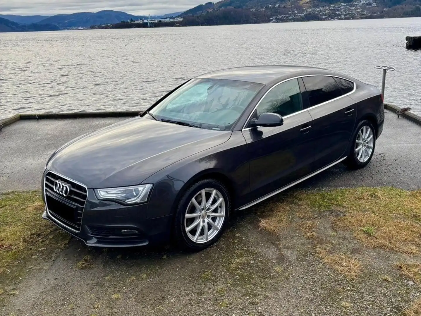 Audi A5 A5 2.0 TDI Sportback DPF Grau - 1