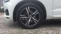 Volvo XC60 TODOTERRENO 2.0 D4 R-DESIGN AUTO 5P Blanco - thumbnail 15